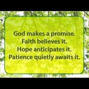 Meet your Posher, Ashleigh p